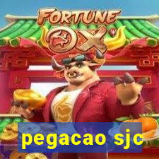 pegacao sjc